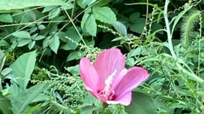 三連休:最終日🍀