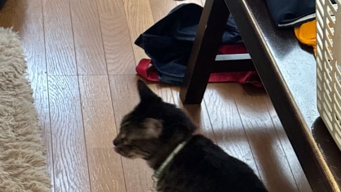 くうき帰宅