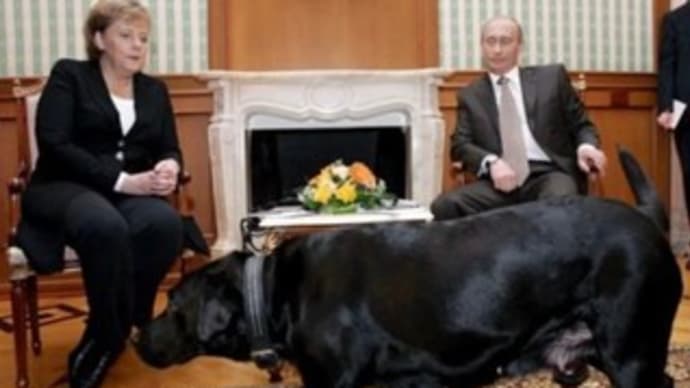 プーチンとメルケルと犬と、犬をめぐる旅での不思議な思い出と