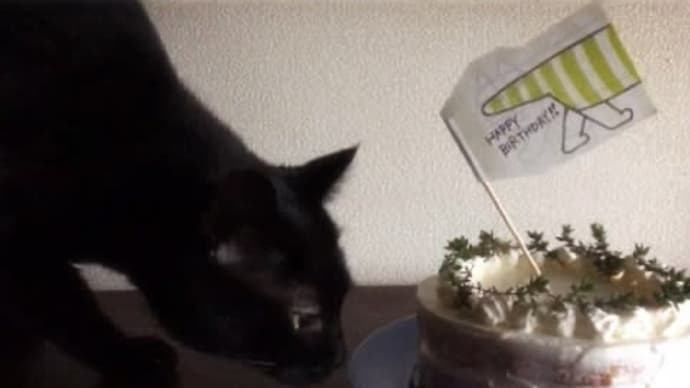 バースデーケーキ