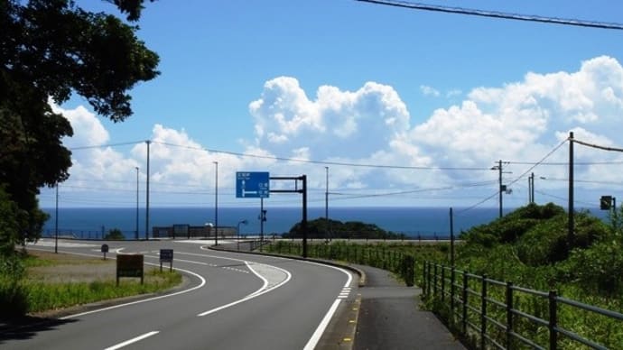 いつまでこの暑さが続く?~「南国のクリオネ」元気です