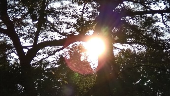 思うのだが、あの2名の芸能人は・・・・