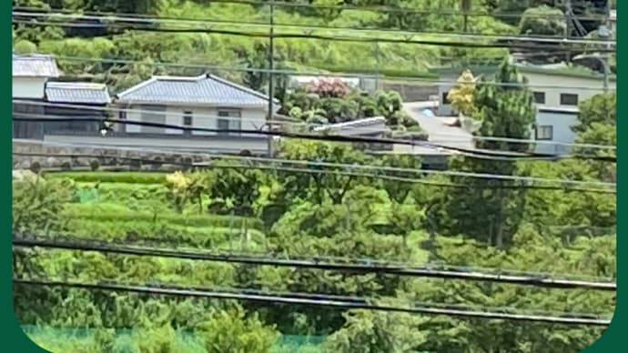 残るしばる人間関係