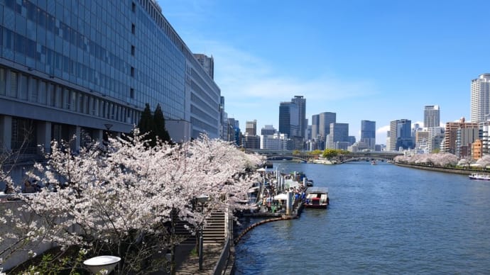 春らんまん　水辺の美しい桜の風景　令和六年