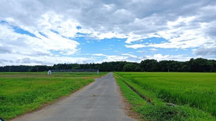 雨のすき間