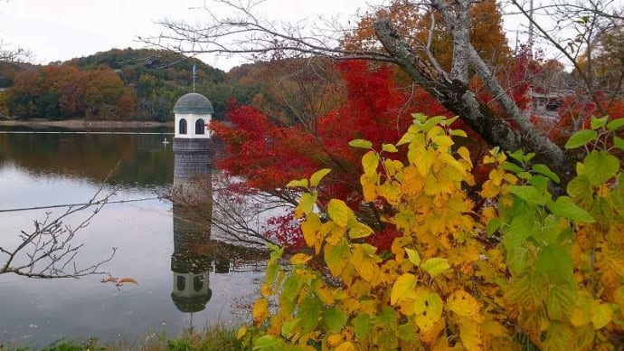 桜の名所は、紅葉の名所というわけではないが、絵になる秋の風景「服部の大池」のあの風景