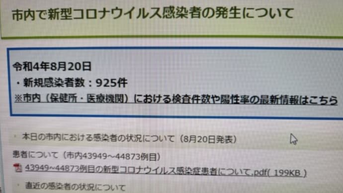 感染者と介助と観葉植物