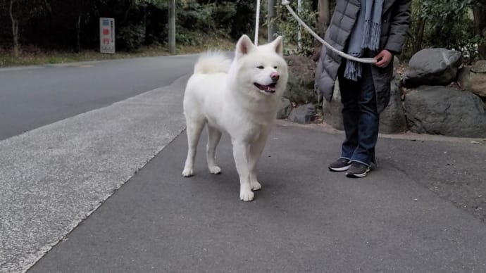 ハクありがとうね😆💕✨