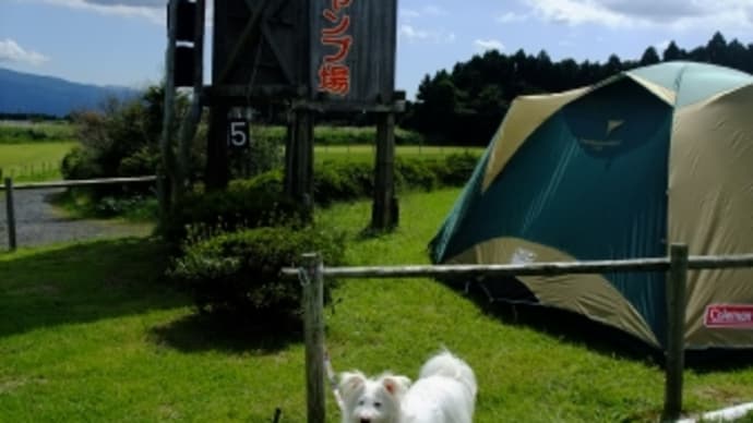 キャンプ in 富士裾野