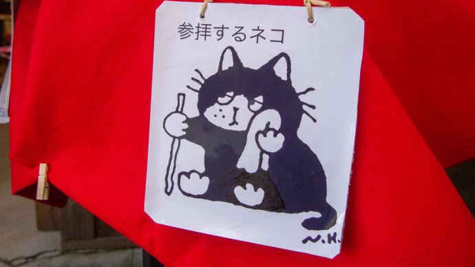ネコと犬と金比羅さん