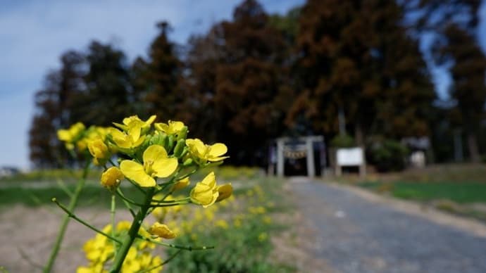 はじまり~畠山重忠ゆかりの地(4)