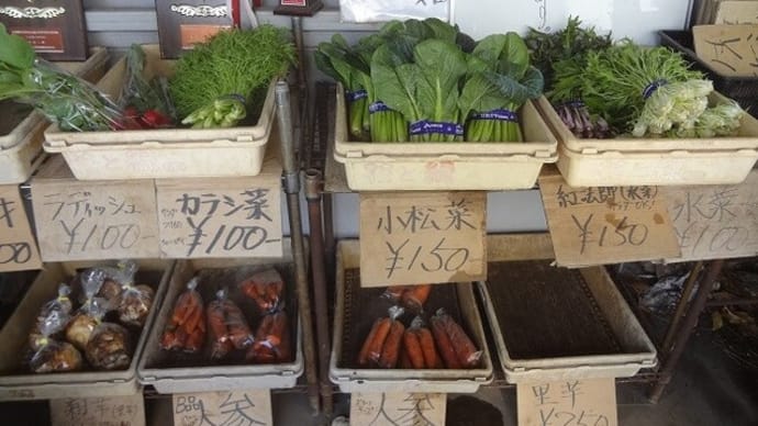 近所で野菜大収穫