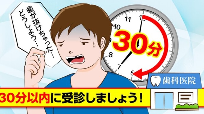 知っておこう!大切な歯の応急処置とは