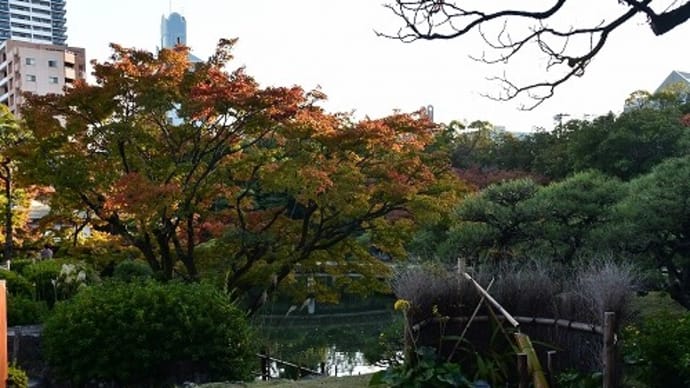相楽園 紅葉 ’18