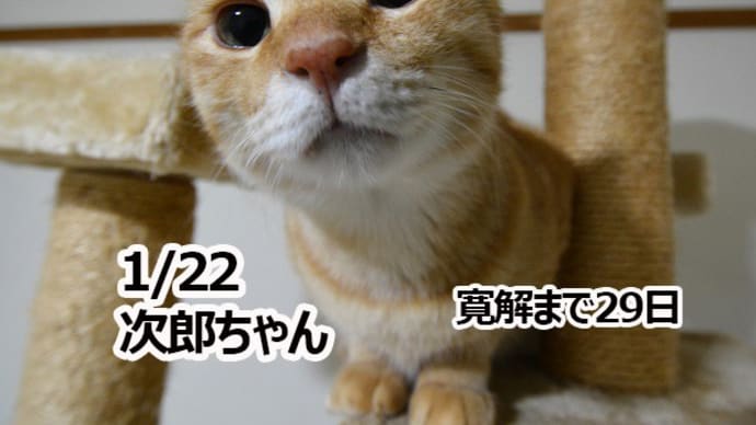 1/21 次郎ちゃんの通院記録
