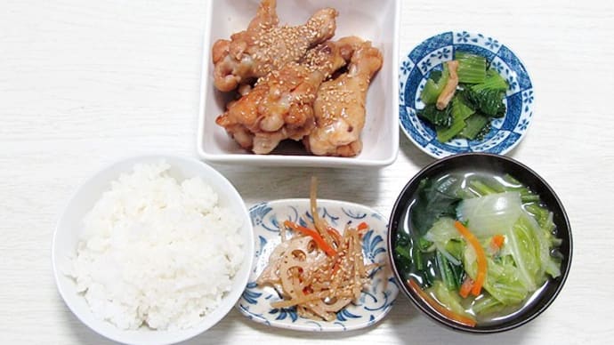 4月13日 鶏手羽元の甘辛煮&肉野菜炒め飲酒。