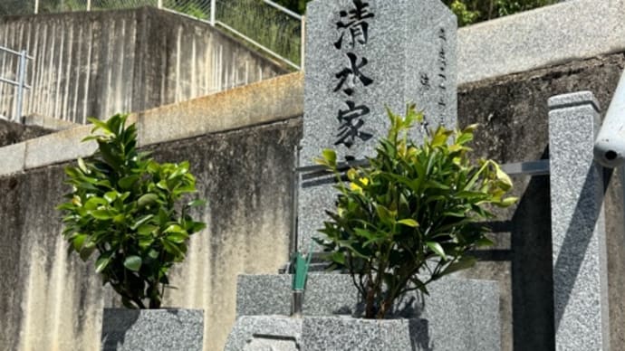 大分放浪2024秋彼岸 『 とり天、リウキュウ万歳!の巻 』