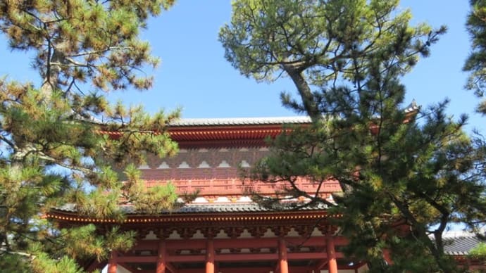 妙心寺「八方にらみの龍」