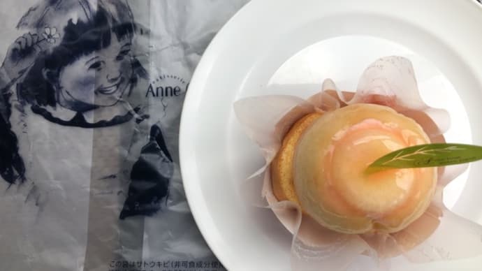 Anne Charlotte 9