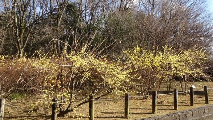 竹取公園