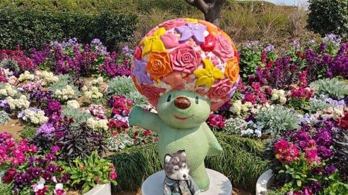 横浜人形の家でぬい撮り
