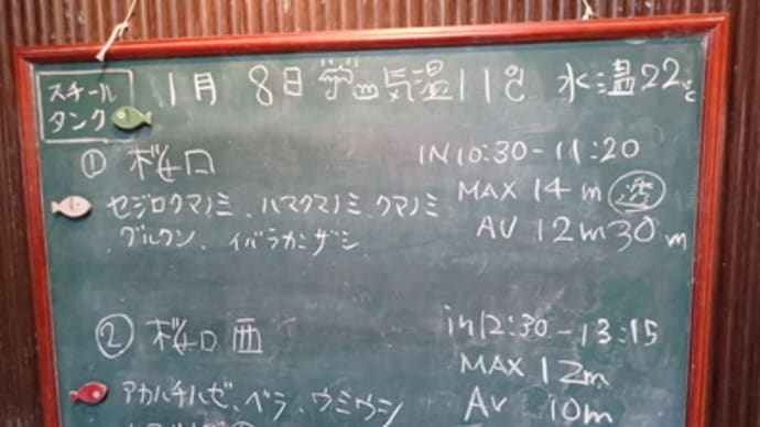 本日のダイビングログ