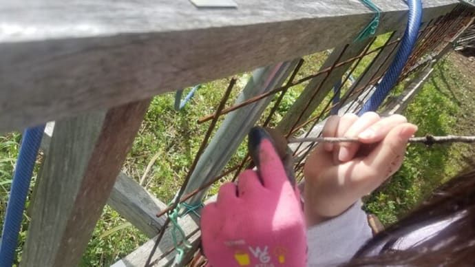 孫と里山で。