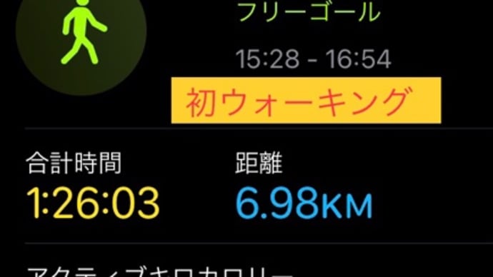 ウォーキングするしかないか
