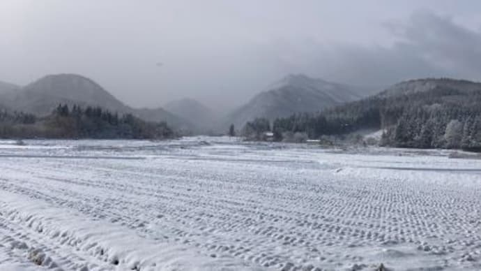 にこパパのちょっとそこまで　【世界農業遺産「大崎耕土」バスツアーに参加せよ編２】シニア前期パパ☆ママの挑戦