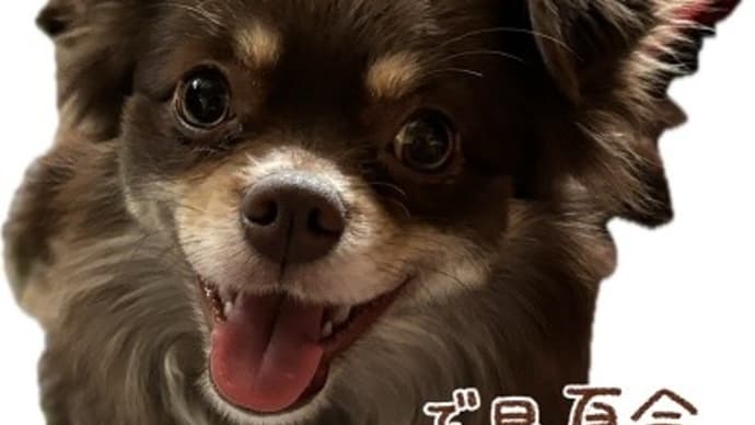 元気にガンバロウ!