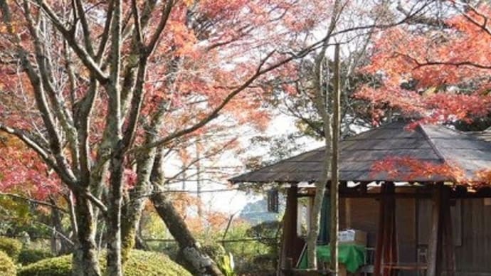 28、姥あらくれ ①