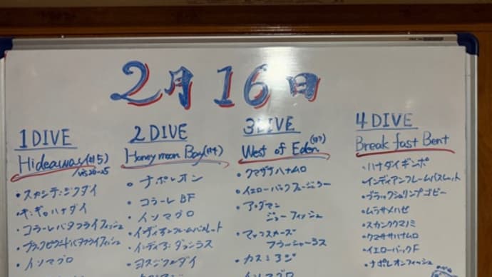 第9回 2/15〜20 ソロソロジンベイミタイ