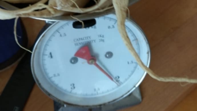 たくあん漬け