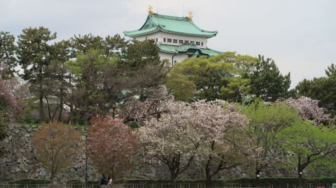 蒲郡に一泊②~名古屋城へ