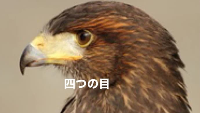 【虫の目▪︎鳥の目▪︎魚の目▪︎コウモリの目】が成功の鍵だ