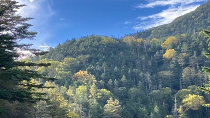 【蓼科&双子】 蓼科山荘で初霜観測 双子池の紅葉も見頃です (2024.10.10)