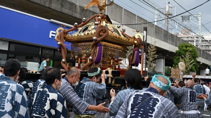 ◆白鬚神社の元気溢れる神輿巡行(/墨田区東向島)