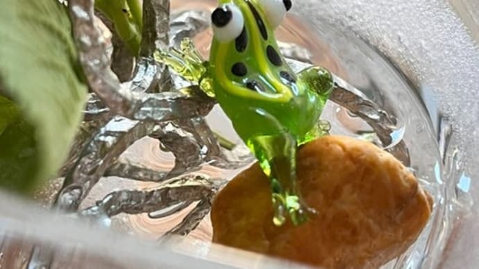 五感の涼