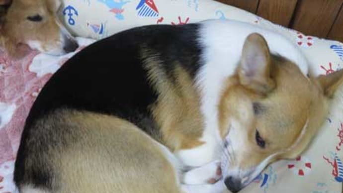 普通にしていてネタがない