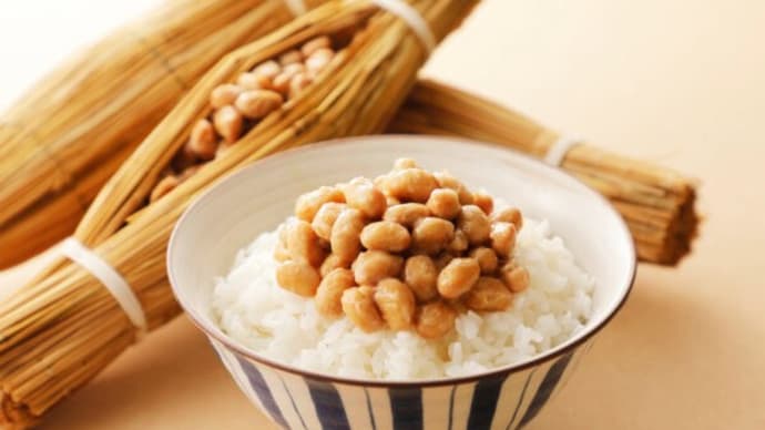 米大豆輸入増を交渉材料に 日米関税協議
