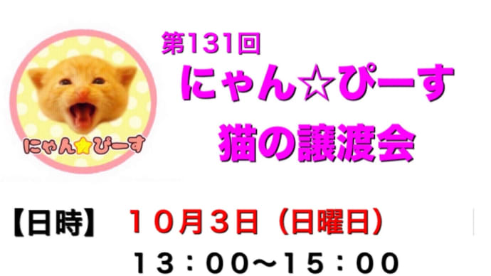 本日、譲渡会44匹参加予定（JR東千葉）