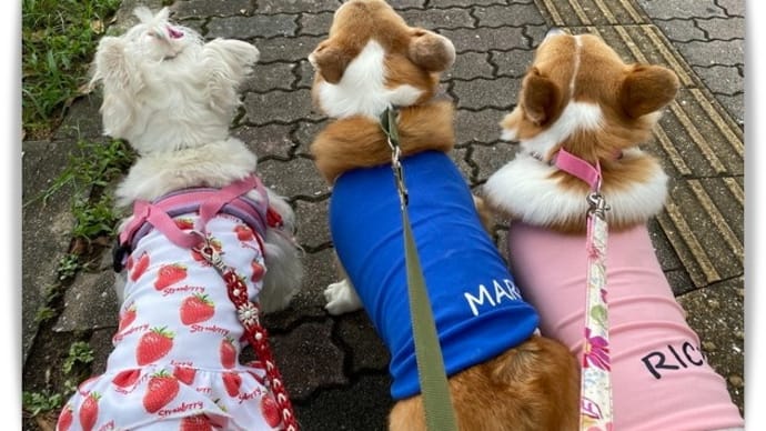 押し花レッスン