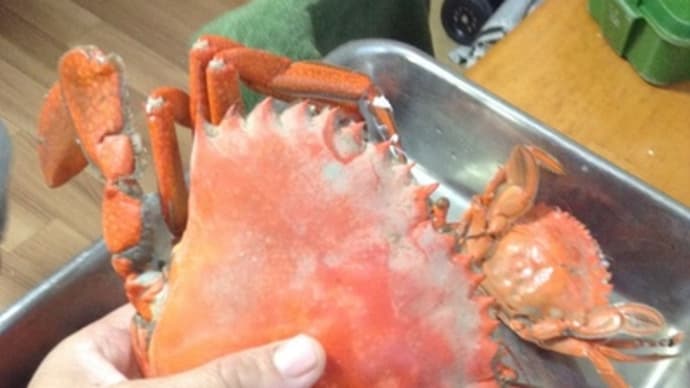 食のエキスプローラー