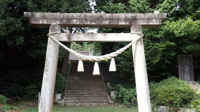 ちょっとだけ散歩して見た植物と、庭の花たち