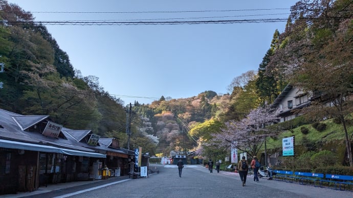 吉野 千本桜