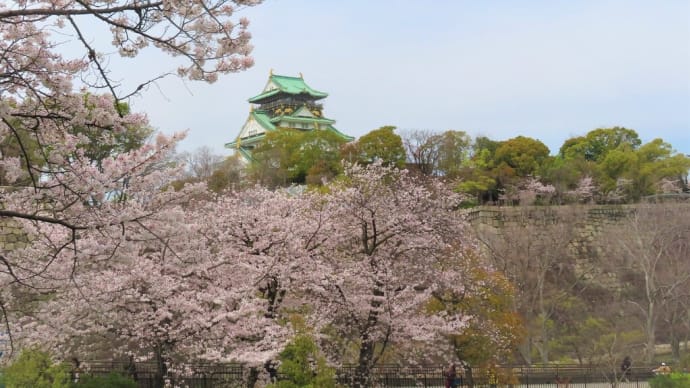 桜花爛漫 ・・・ 3月31日