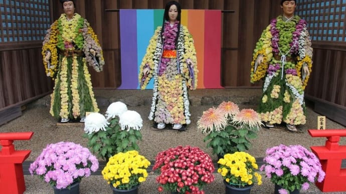 湯島天神 菊まつり (鎌倉殿の十三人の菊人形・大作りなど)