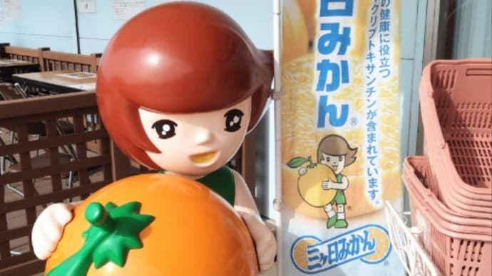 浜名湖で鰻を