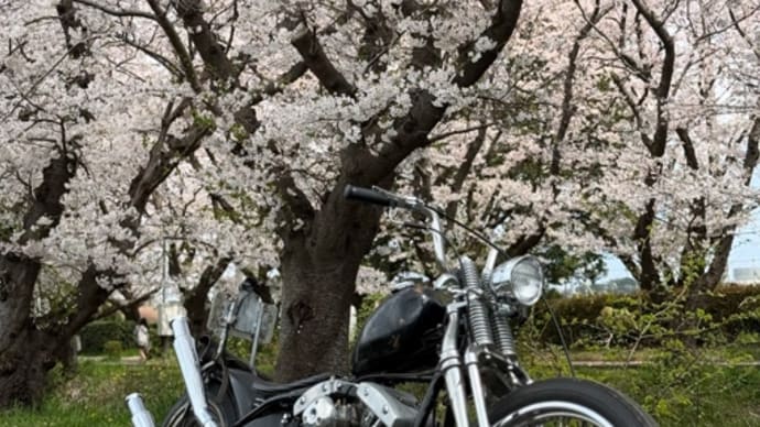 流行りに乗って