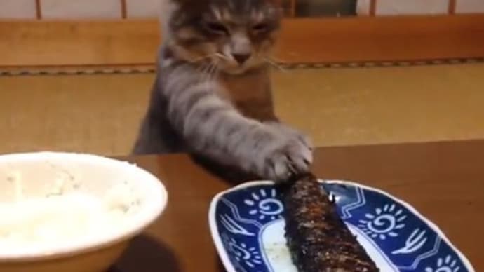 ペットのためのコミュニティ・パントリー